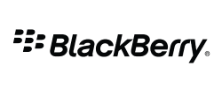 Technology Partner