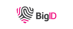 Technology Partner